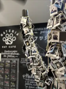 Captura de Tela às